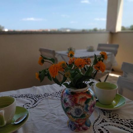 奧爾比亞La Casa Dei Fenicotteri住宿加早餐旅馆 外观 照片